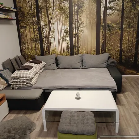 Apartmanovy Dom Kocka 度假居 *